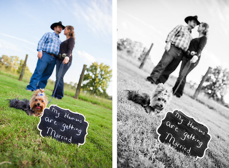 Engagement Photography Jackson TN